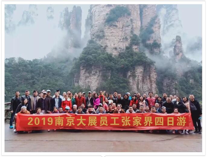 与春天有个约会---记南京樱花动漫APP在线观看免费高清2019年度公司春游活动