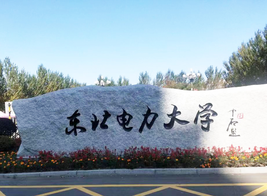 东北电力大学采购南京樱花动漫APP在线观看免费高清的DZ-DSC300C樱花草视频入口