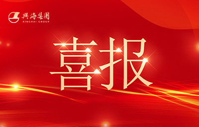 喜讯丨热烈祝贺韦德官网铜铝业公司一连八度荣登中国民营企业500强！